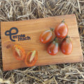 Tomate Black Plum Jungpflanze