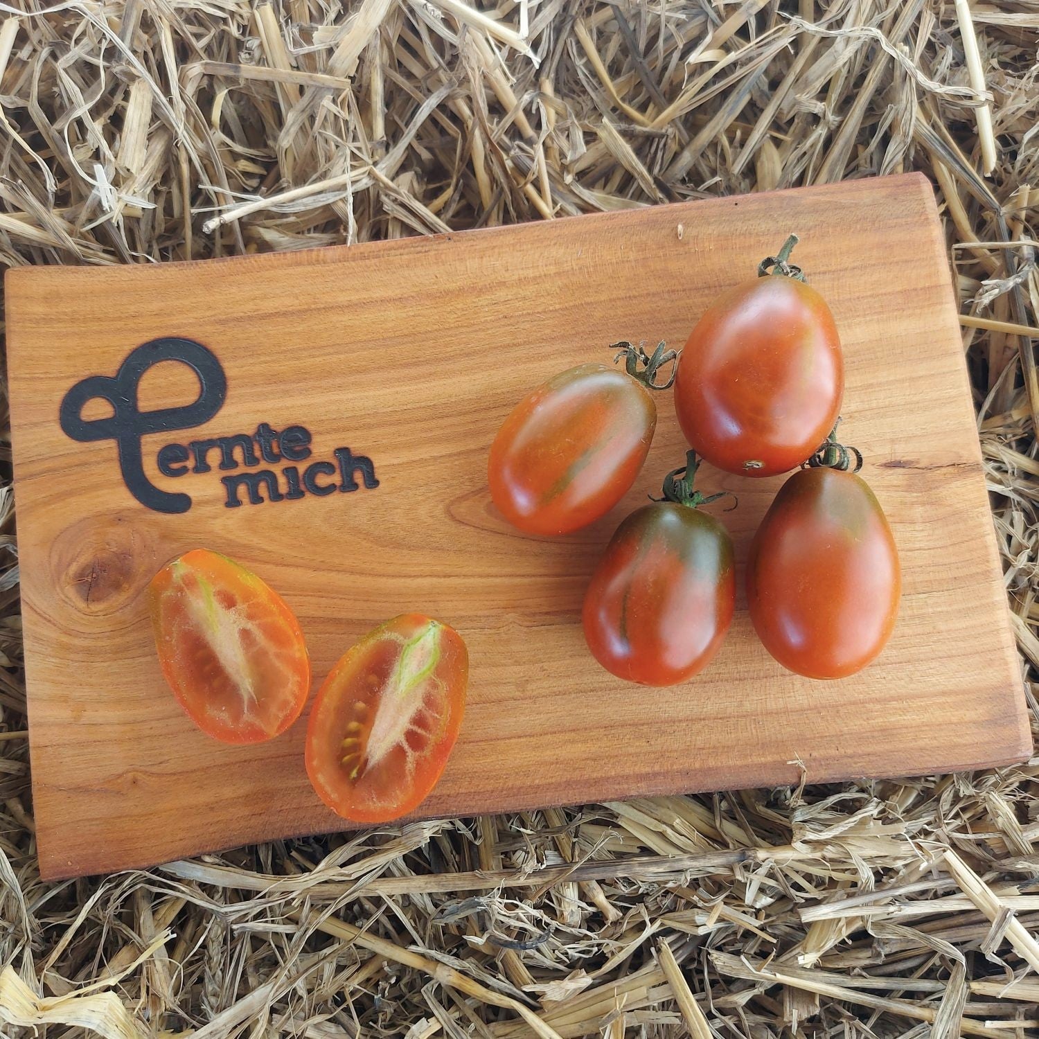 Tomate Black Plum Jungpflanze