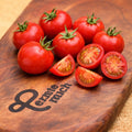 Tomate Bogus Fruchta Jungpflanze