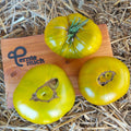 Tomate Evergreen Jungpflanze