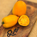Tomate Gelbe Paprika Jungpflanze