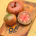 Tomate Schwarze Krim Jungpflanze