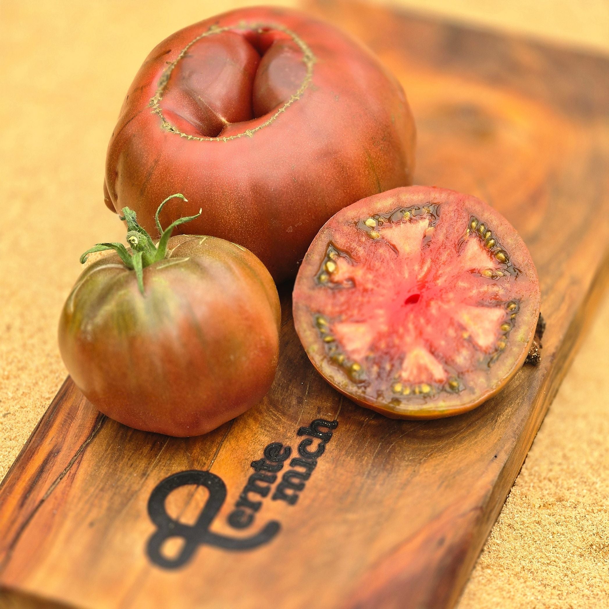 Tomate Schwarze Krim Jungpflanze