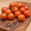 Tomate Tigerette Jungpflanze