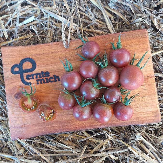 Tomate Black Cherry Jungpflanze