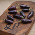 Chili Serrano Purple Jungpflanze Schärfe 3/10