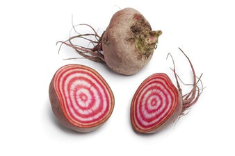 Bete Gestr. Bete Würfel