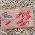 Chili Rouge Noir Jungpflanze Schärrf 10+/10