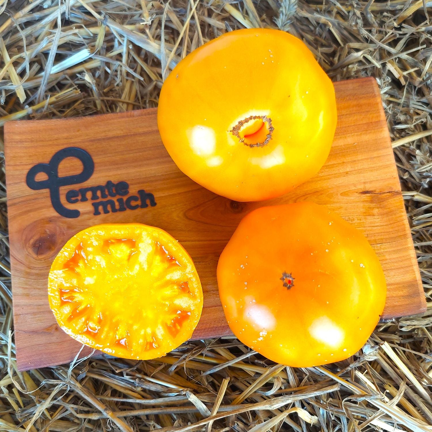 Tomate Brandywine Apricot Jungpflanze